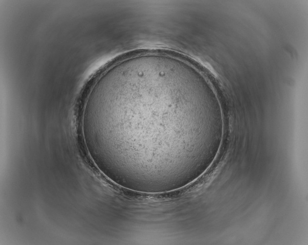 X0000112781311200908271655