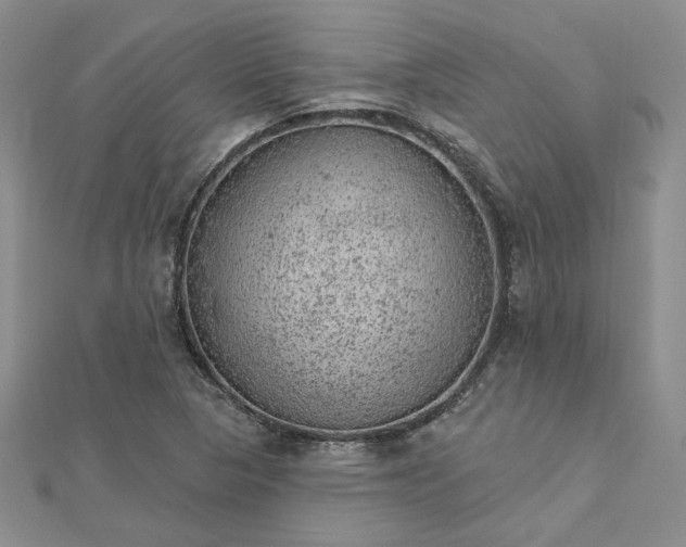 X0000112781313200908271655