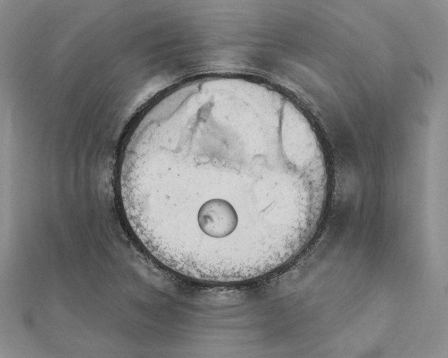 X0000112781314200908271655