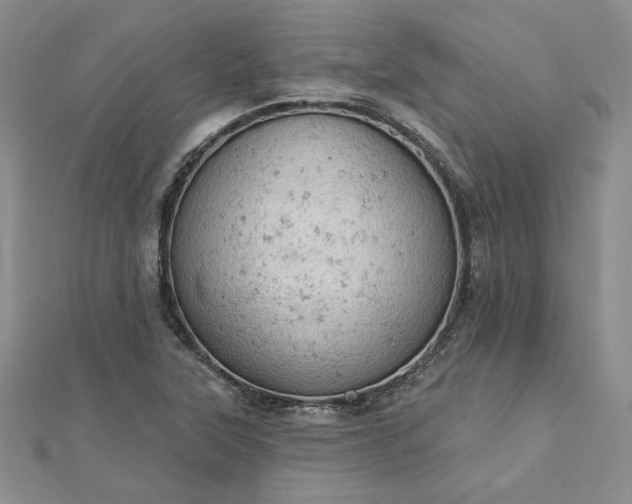 X0000112781315200908271655