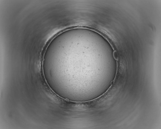 X0000112781316200908271655