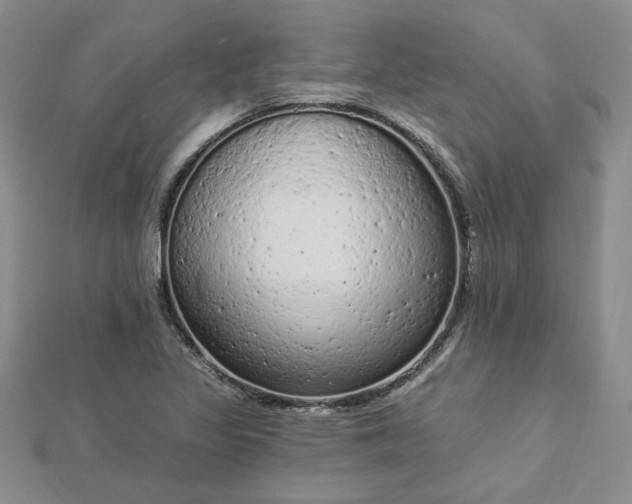 X0000112781317200908271655