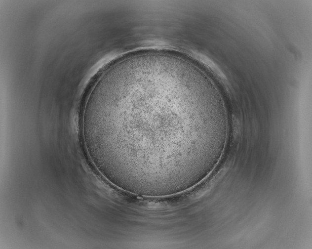 X0000112781318200908271655