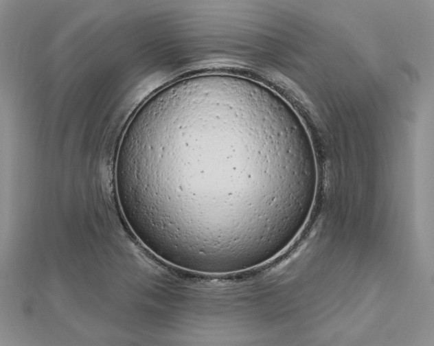 X0000112781321200908271655