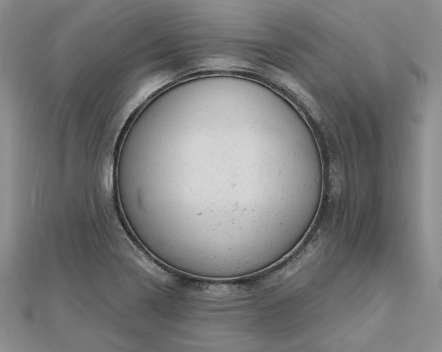 X0000112781322200908271655