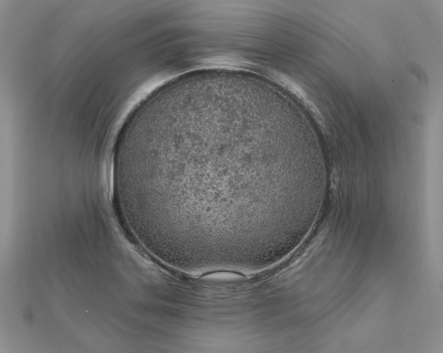 X0000112781323200908271655