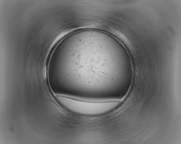 X0000112781324200908271655