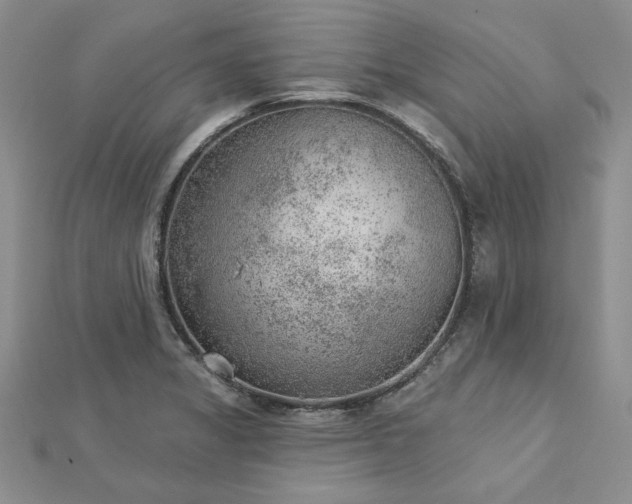 X0000112781325200908271655