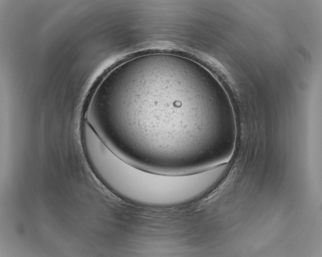 X0000112781326200908271655