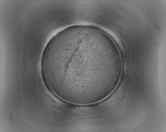 X0000112781327200908271655