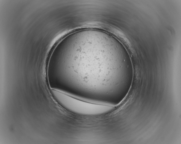 X0000112781328200908271655