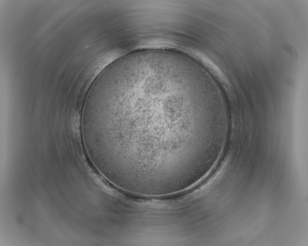 X0000112781329200908271655