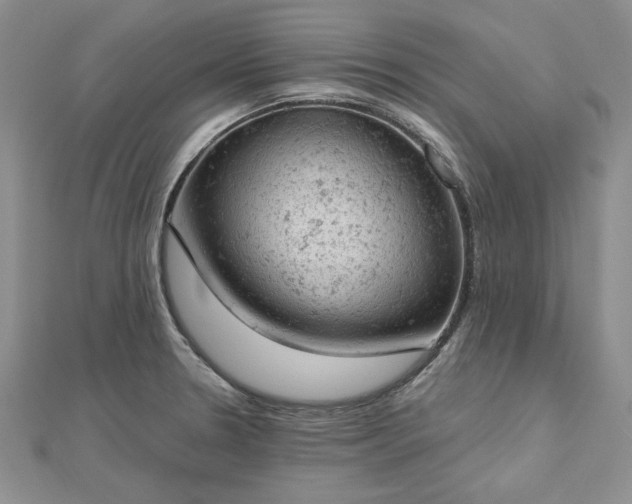 X0000112781330200908271655