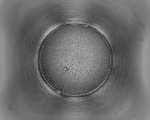 X0000112781333200908271655