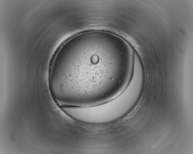 X0000112781334200908271655