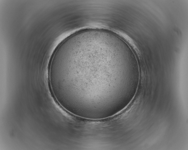 X0000112781335200908271655