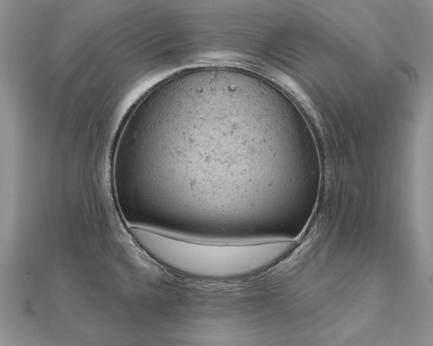 X0000112781336200908271655