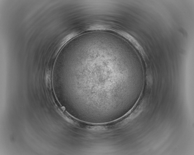 X0000112781337200908271655