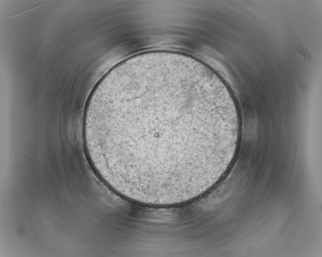 X0000112781338200908271655