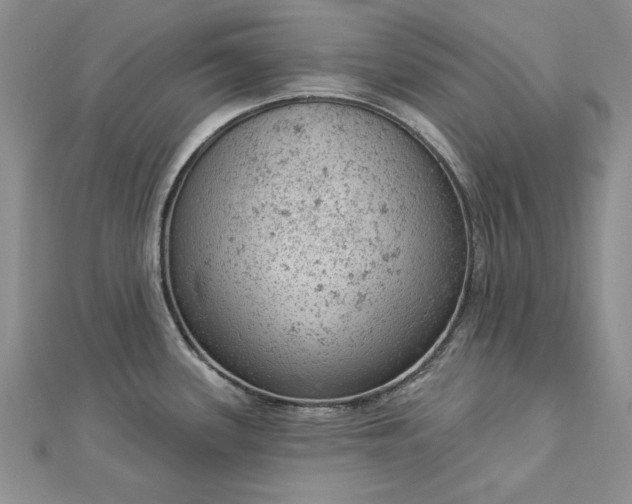 X0000112781339200908271655