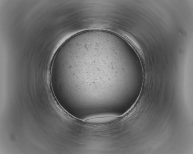 X0000112781340200908271655