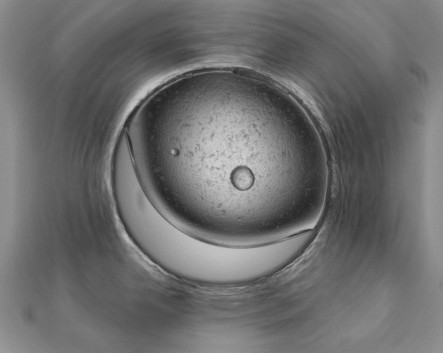 X0000112781342200908271655