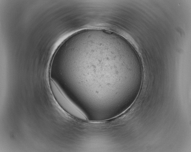 X0000112781344200908271655