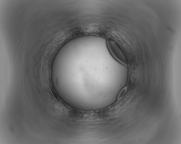 X0000112781345200908271655