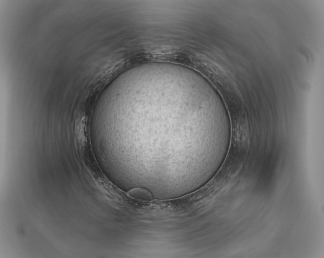 X0000112781346200908271655