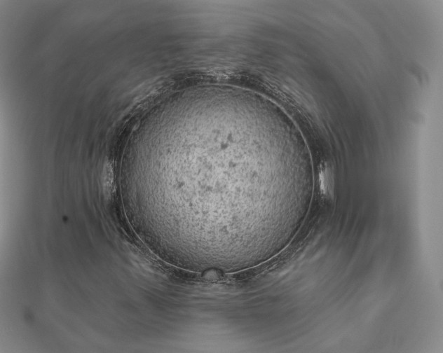 X0000112781347200908271655