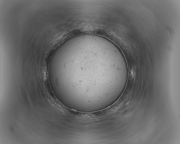 X0000112781348200908271654