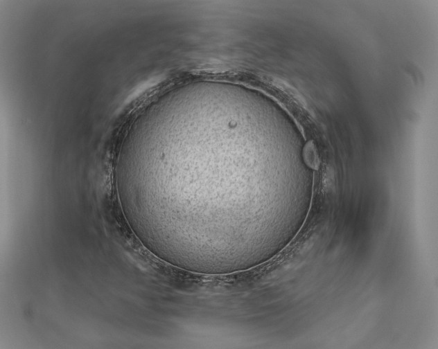 X0000112781350200908271654