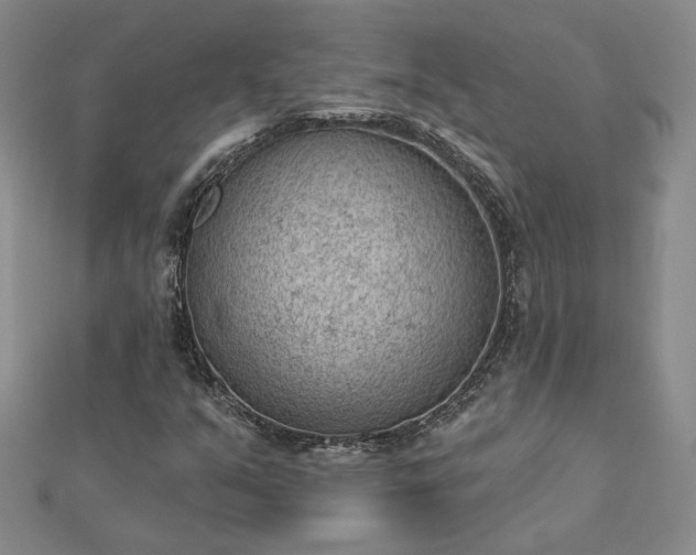 X0000112781351200908271654