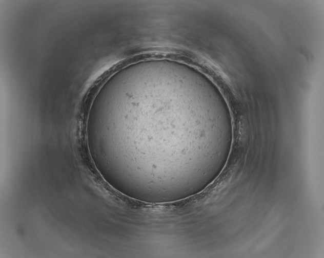 X0000112781352200908271654