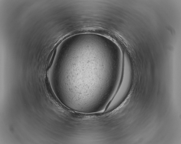 X0000112781353200908271654