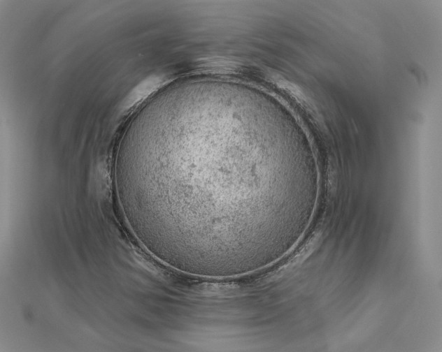 X0000112781354200908271654