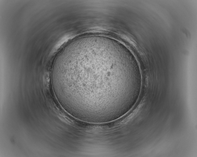 X0000112781355200908271654