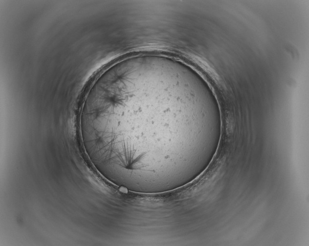 X0000112781356200908271654