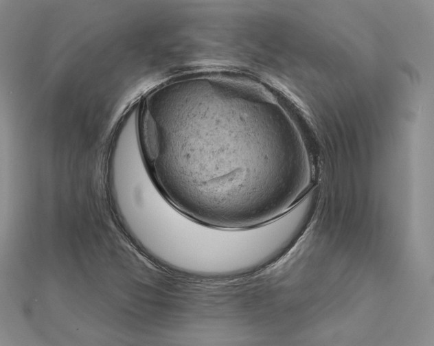 X0000112781357200908271654