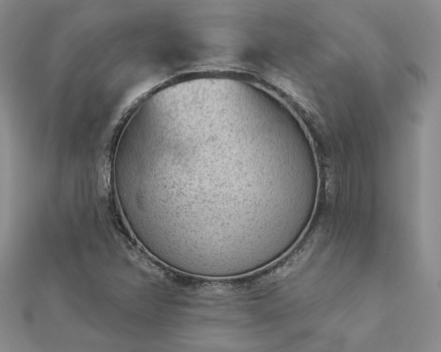 X0000112781358200908271654