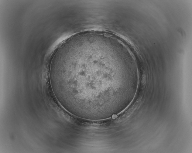 X0000112781359200908271654