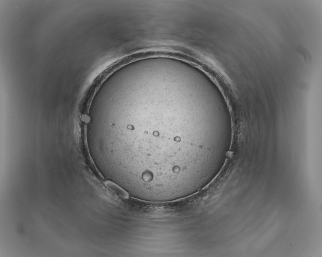 X0000112781360200908271654