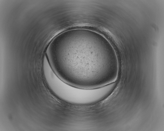 X0000112781361200908271654