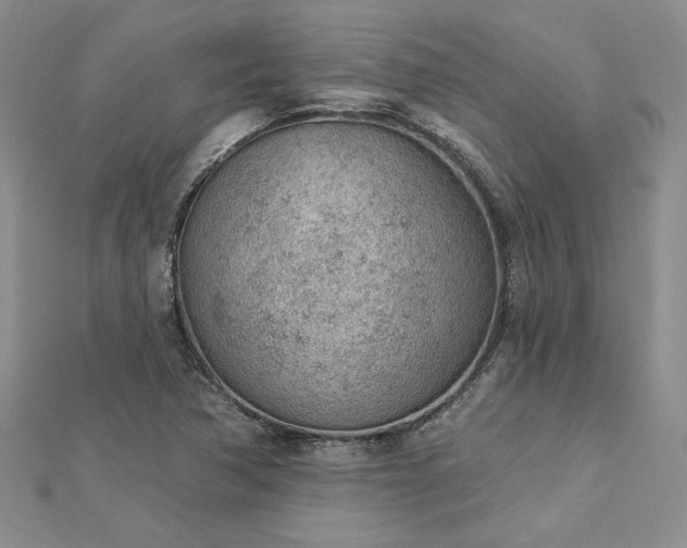 X0000112781362200908271654