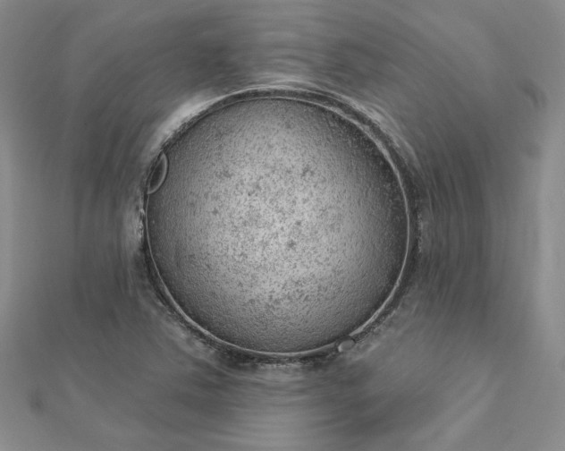 X0000112781363200908271654