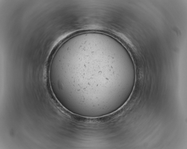 X0000112781364200908271654