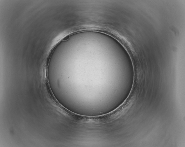 X0000112781365200908271654