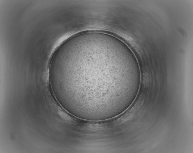 X0000112781366200908271654