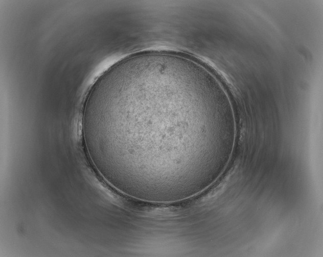 X0000112781367200908271654