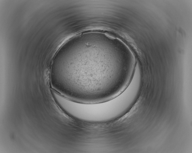 X0000112781369200908271654